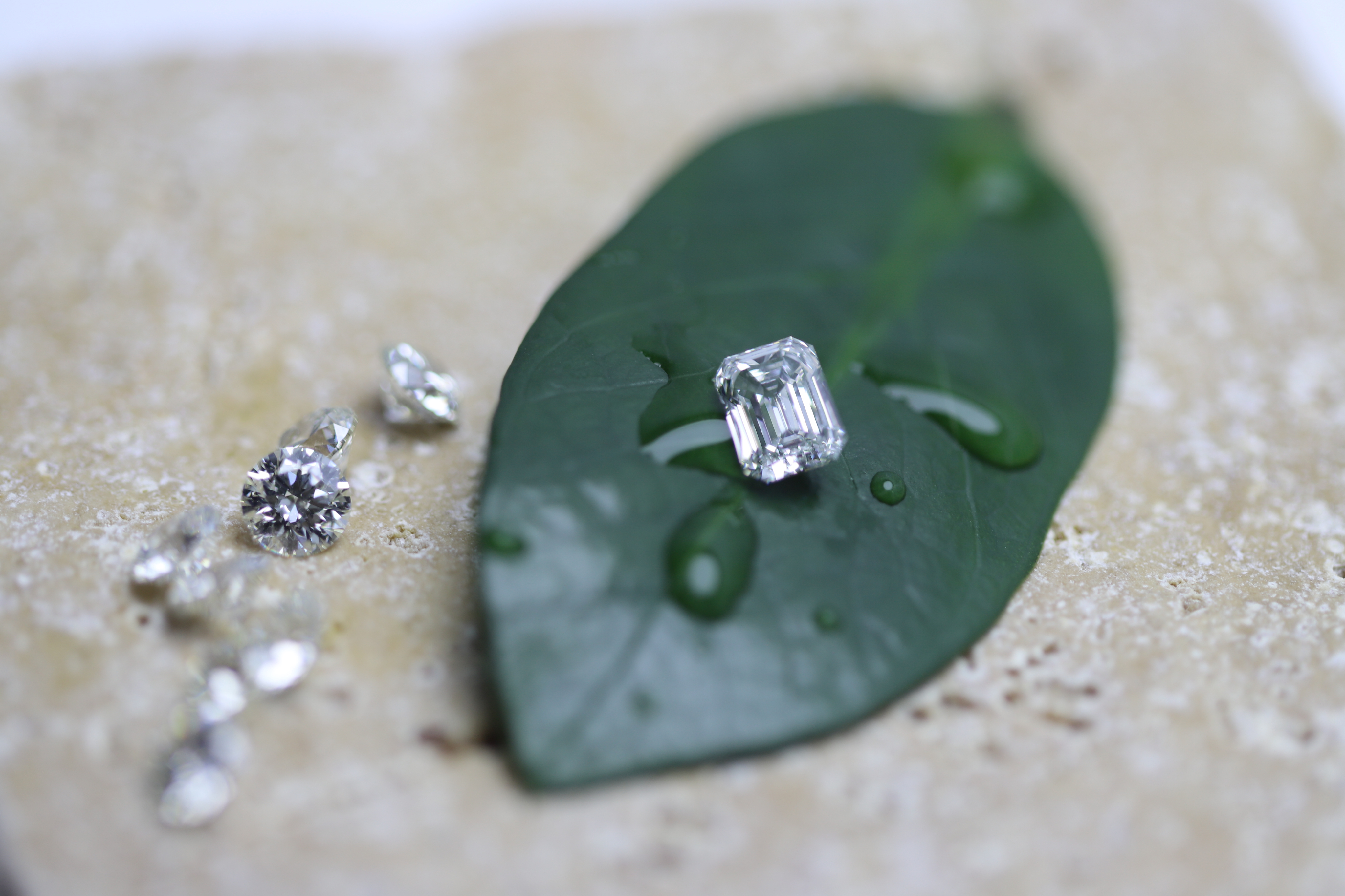 Finished diamond ring on green leaf